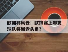 欧洲杯风云：欧锦赛上哪支球队将崭露头角？