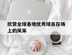 欣赏全球各地优秀球员在场上的风采
