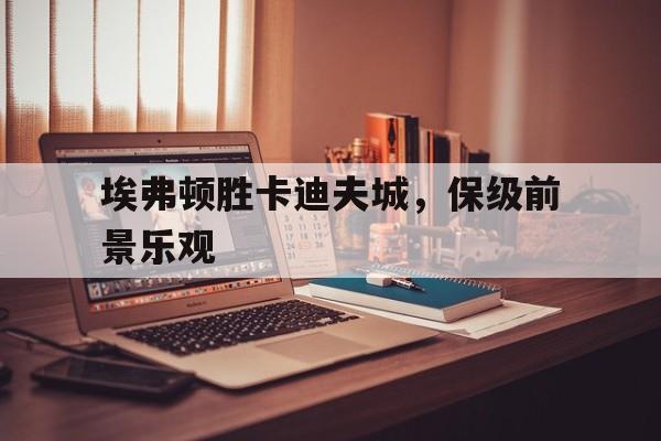 埃弗顿胜卡迪夫城，保级前景乐观的简单介绍