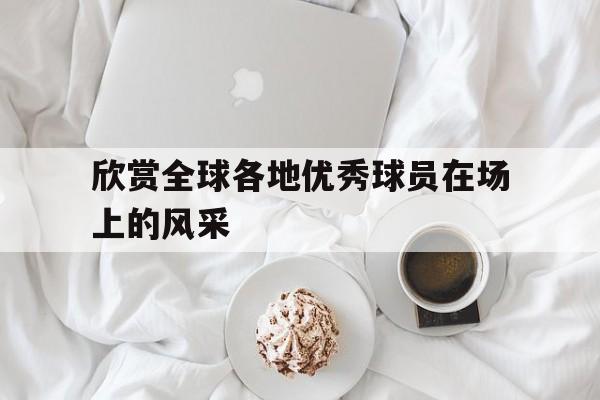 欣赏全球各地优秀球员在场上的风采